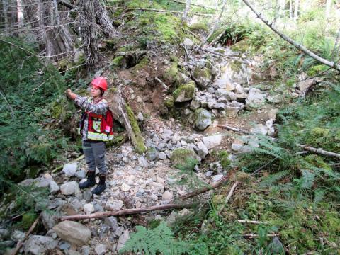 Stream Assessments